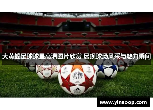 大黄蜂足球球星高清图片欣赏 展现球场风采与魅力瞬间